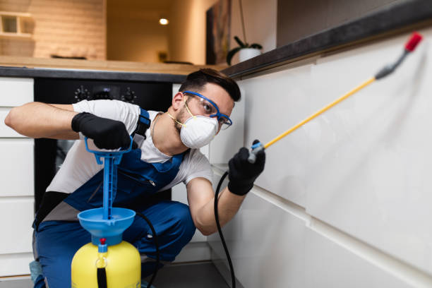 Best Pest Prevention Services  in Somerton, AZ
