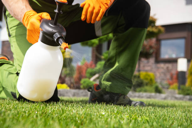 Best Pest Inspection Near Me  in Somerton, AZ