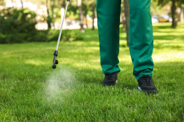 Reliable Somerton, AZ Pest Control Solutions