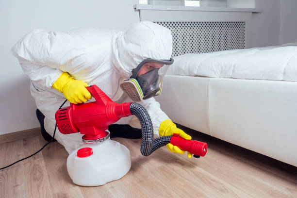 Best Affordable Pest Control Services  in Somerton, AZ