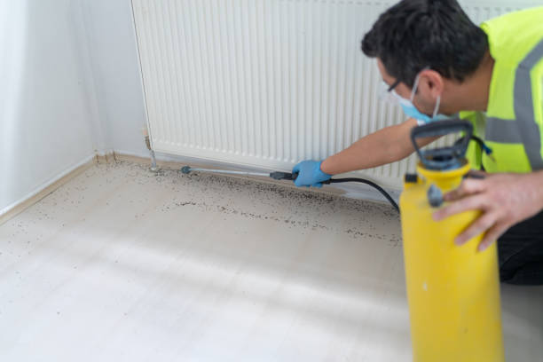 Best Best Pest Control Companies  in Somerton, AZ