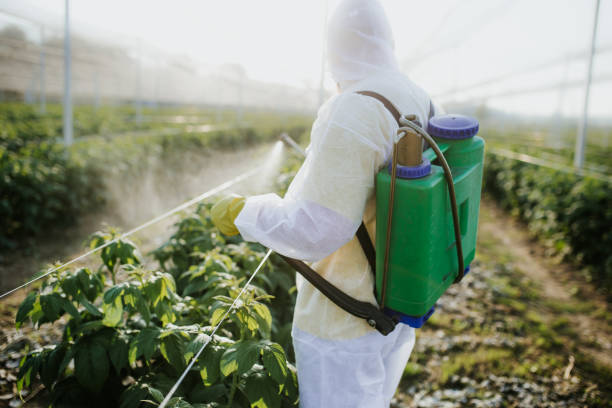 Best Residential Pest Control  in Somerton, AZ